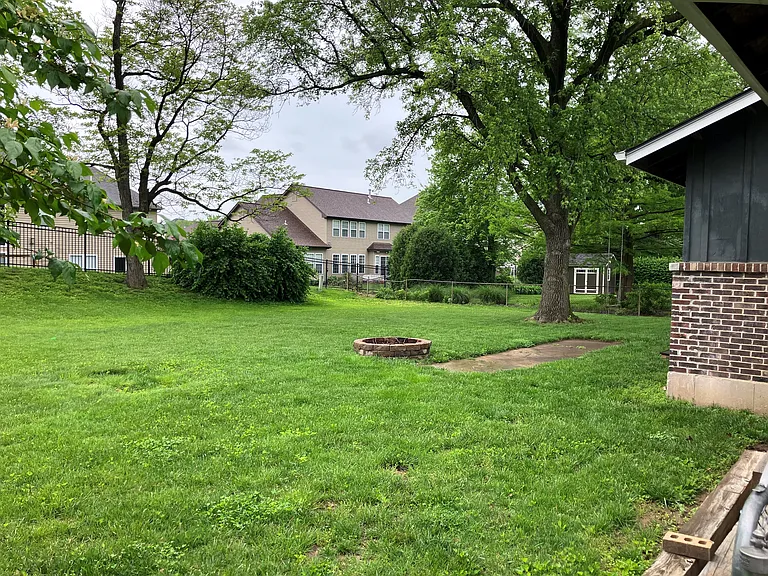 Fenced back yard