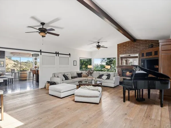 734 Avocado Ct, Del Mar, CA 92014