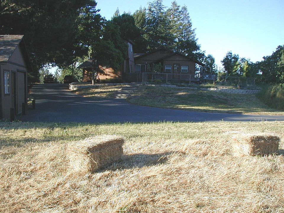 View North from Field