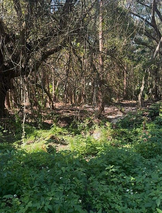1st image of CR-138 LOT 23