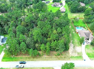 172 Port Au Prince Ct, Montgomery, TX 77316