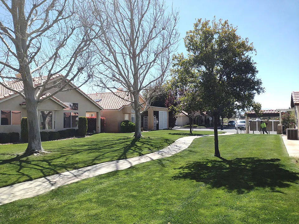 11541 Park Ln