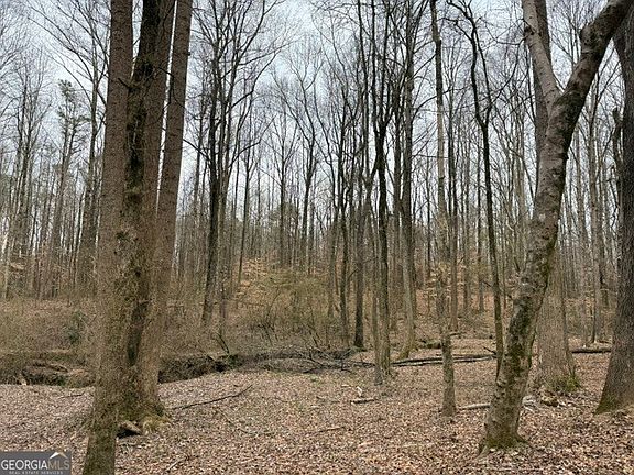 4th image of 0 Tarpkins Rd