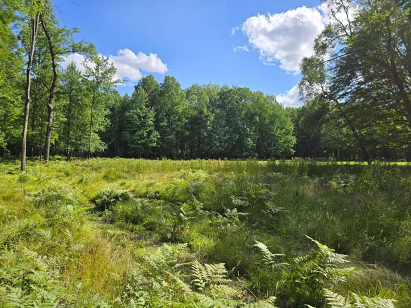 9397 Sunset Dr, Stanwood, MI 49346