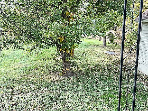 Back patio covered/backyard