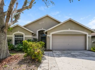 29310 Birds Eye Dr, Wesley Chapel, FL 33543