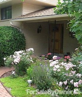 Professional Landscaping