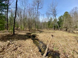 Snyder Rd, Wellston, MI 49689