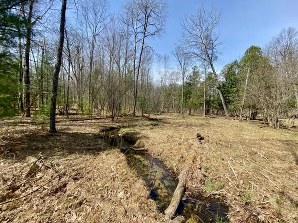 Snyder Rd, Wellston, MI 49689