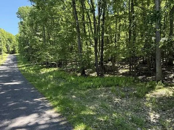 Paper Birch N, Tafton, PA 18464