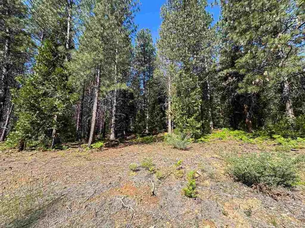LOT 17 Old Mill Rd, McCloud, CA 96057
