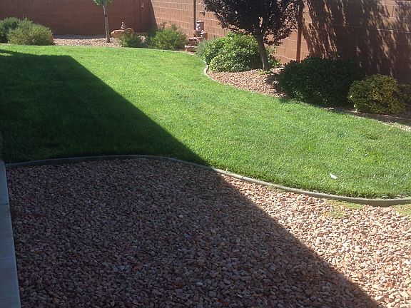 Back yard looking west