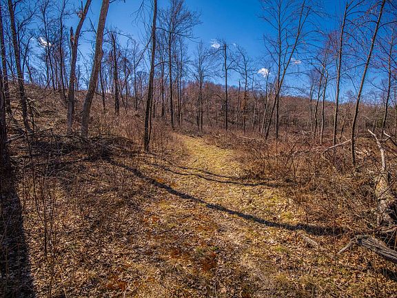 5th image of Lowes Creek Rd