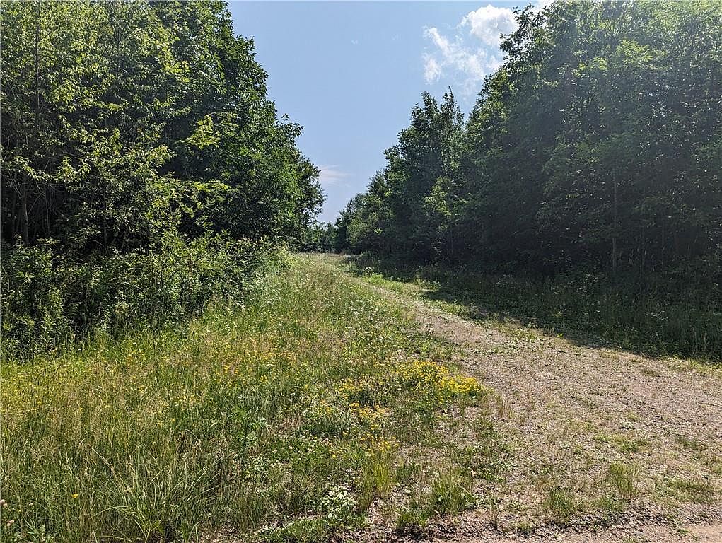 W1937 Tower Avenue, Rib Lake, WI 54470 MLS 1574950 Zillow