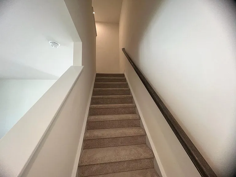 114 Wildflower Cir — Photo 7