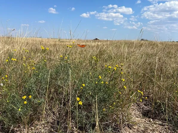 12522 Rasberry Ln #2, San Angelo, TX 76904