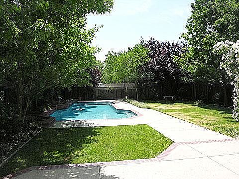 Backyard (Rght side)