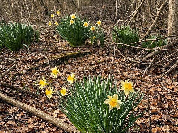 5th image of 0 Circle Rd