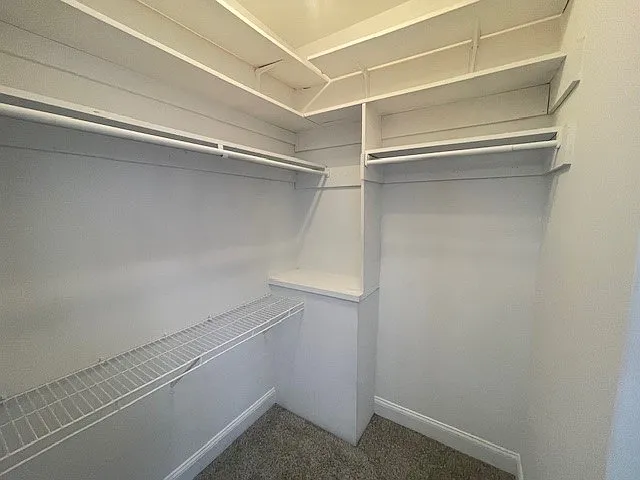 Master Closet