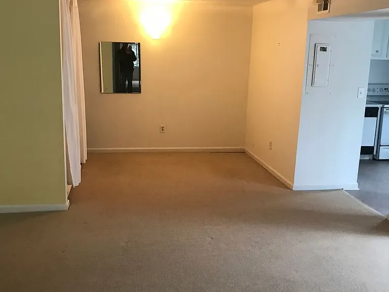 37 Spring Ct — Photo 4