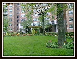 Sold by Naomi Klein, LREB