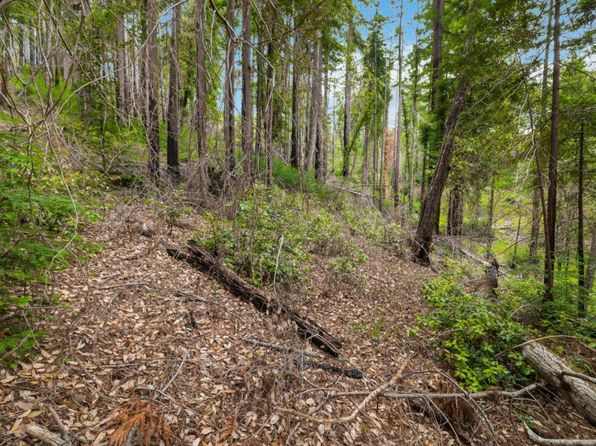 3 Bloom Grade Rd, Boulder Creek, CA 95006