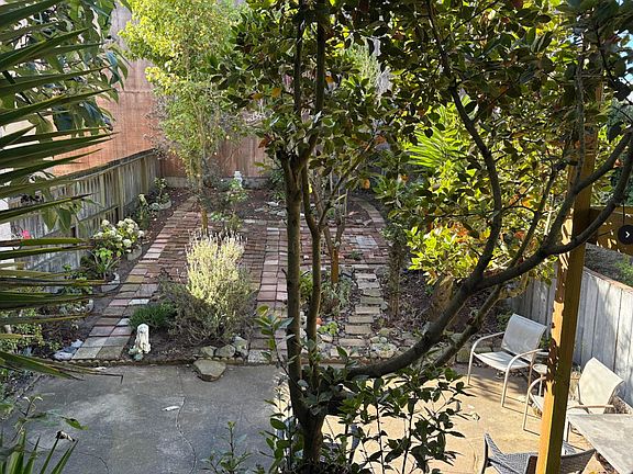 Backyard to chill