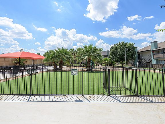 Dog Park