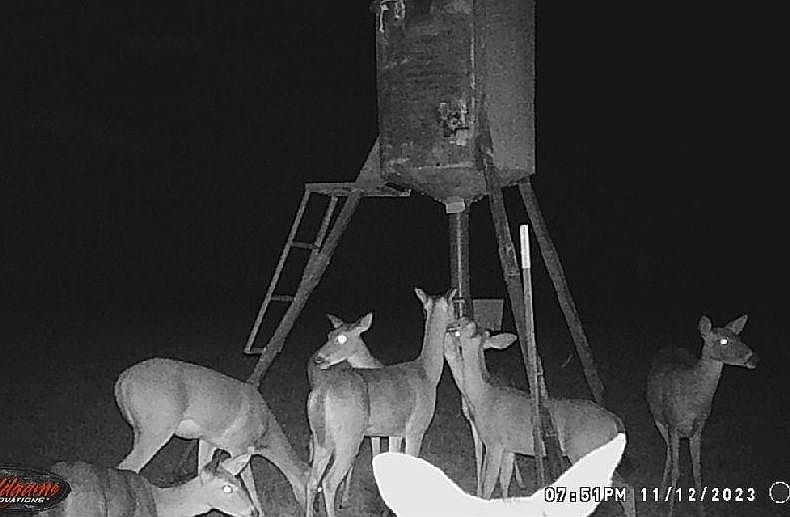 1st image of 1306 County Road 3455a