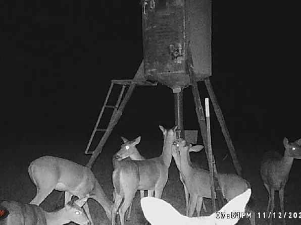 1306 County Road 3455a, Lovelady, TX 75851