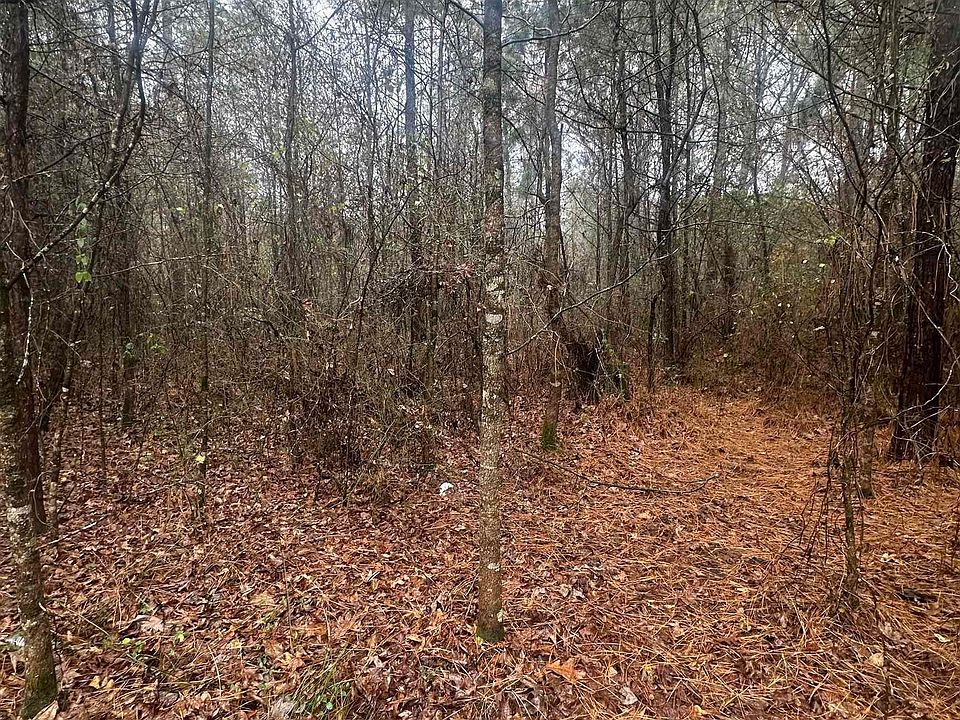 2nd image of Dogwood Dr