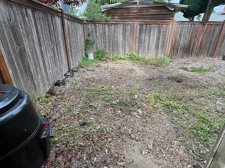 Backyard - fully fenced