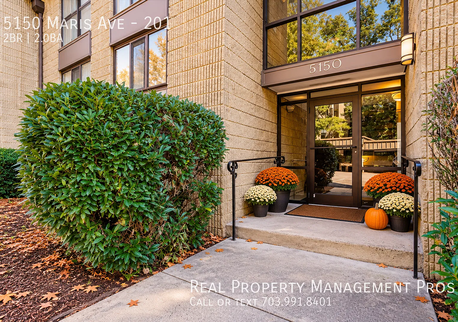 2 Bedroom 2 Bathroom in the heart of Alexandria — Photo 2