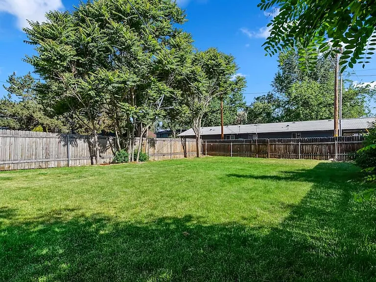 back yard