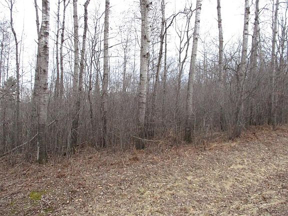 5th image of Lot #24 28 11/16 Street