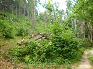 Hinds Feet Ln, Newland, NC 28657