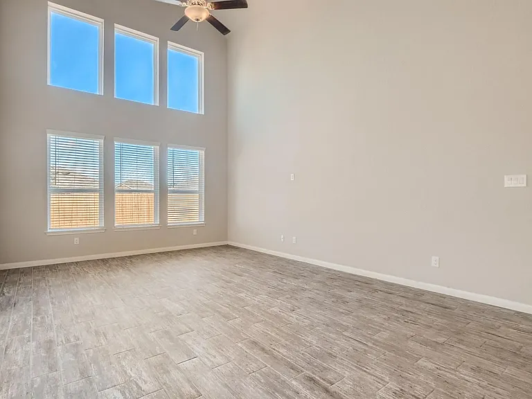 5442 Black Walnut — Photo 2