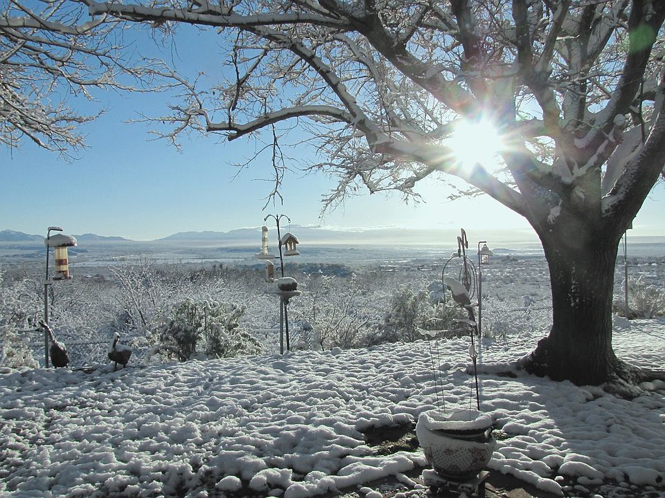 Back yard and view, w/snow