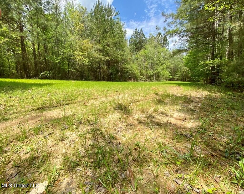 Berwick Cassels Rd, Gloster, MS 39638 MLS 4069755 Zillow