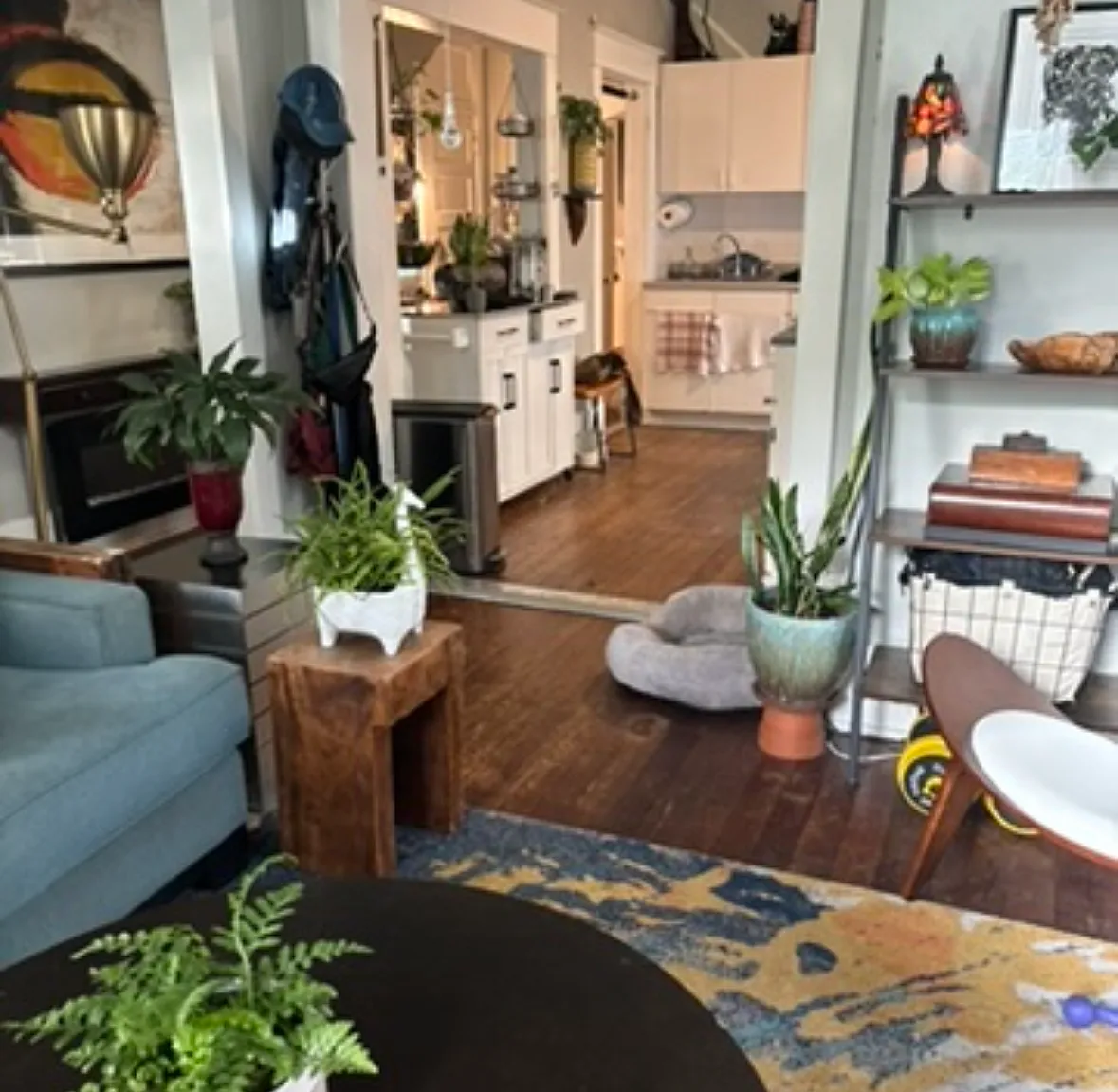 1 bed, 725 sqft, $1,675 — Photo 2