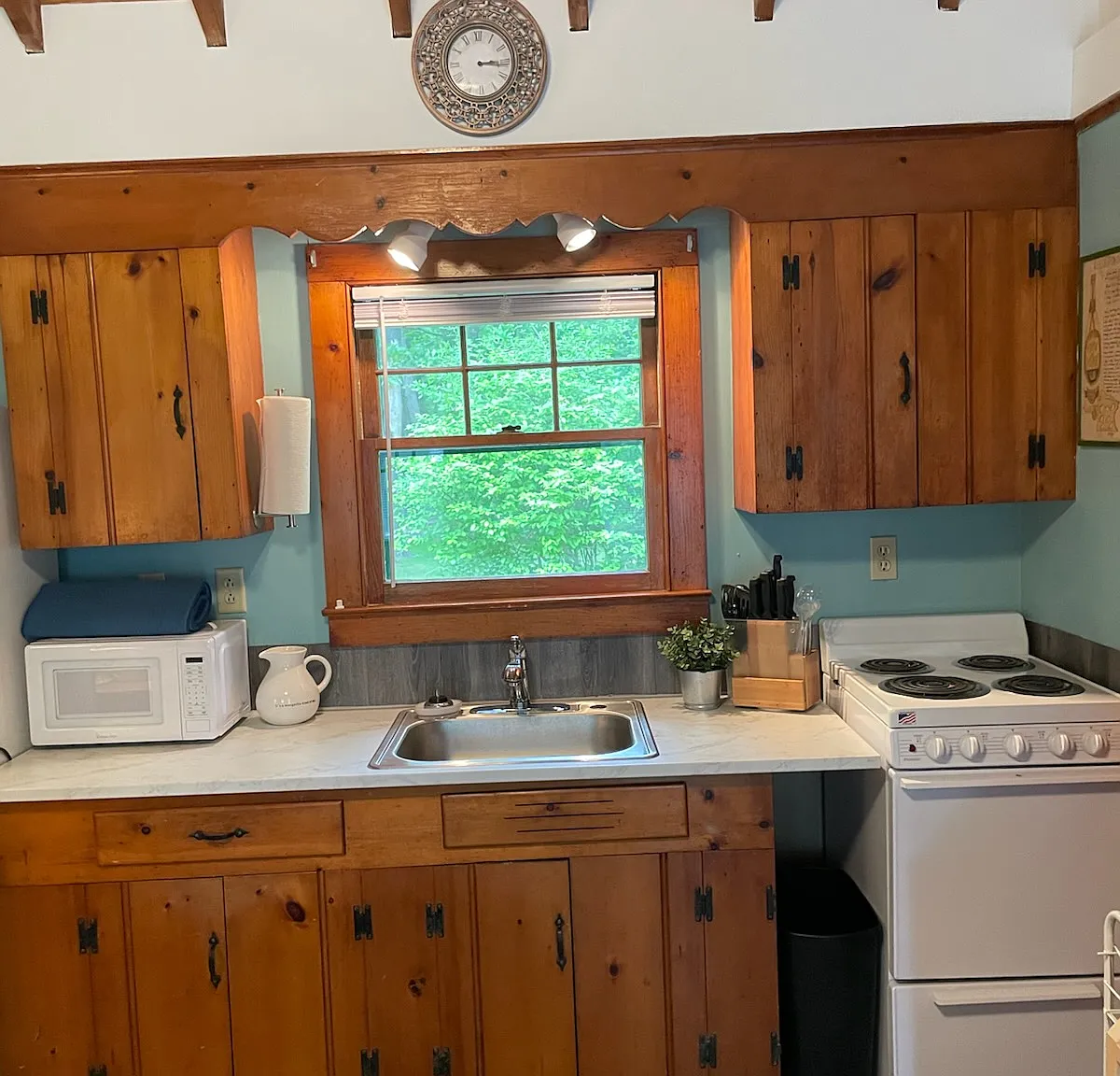 1 bed, 450 sqft, $2,000 — Photo 4