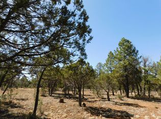 3431 Durango Dr, Happy Jack, AZ 86024