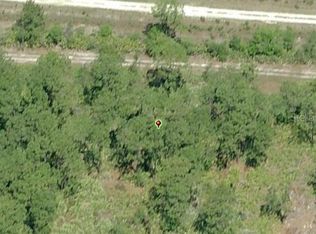 1271 New York Ave, Orlando, FL 32833