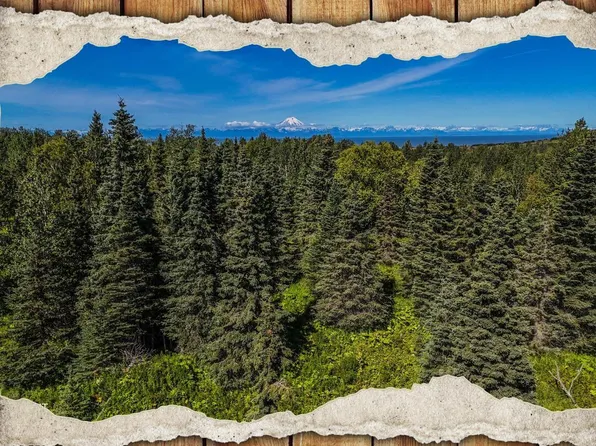 15466 Tovarish Rd, Ninilchik, AK 99639