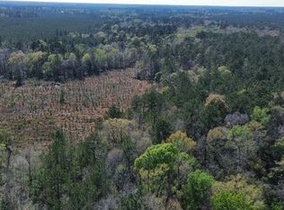 16332 State Highway 96 S, Kirbyville, TX 75956