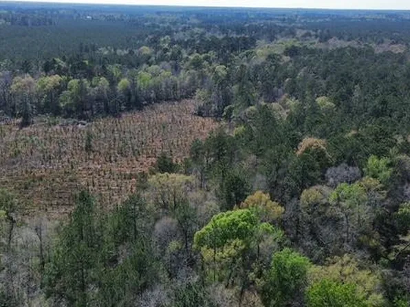 16332 State Highway 96 S, Kirbyville, TX 75956