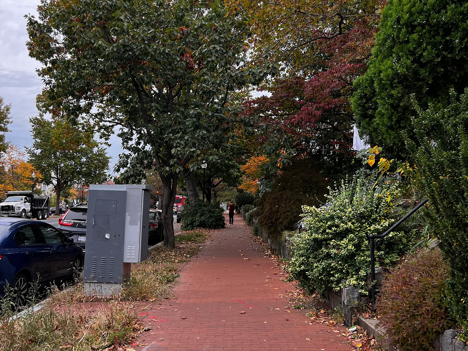 1125 Maryland Ave NE — Photo 2