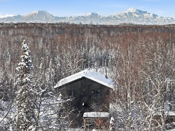 16111 E Nosey Ave, Talkeetna, AK 99676