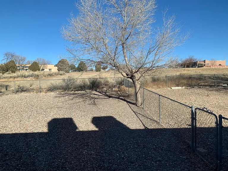 221 W Harmony Dr — Photo 17