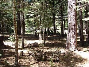 3rd image of 2206 Mokelumne Dr E